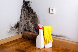 Trusted Kittanning, PA Mold Prevention & Removal  Experts